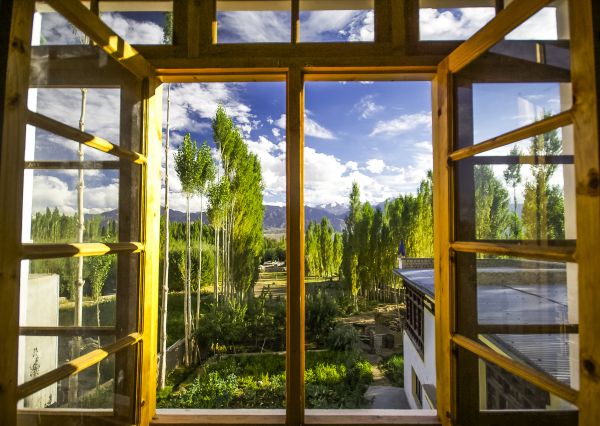 Cost of Wood Window Replacement in Chagrin Falls