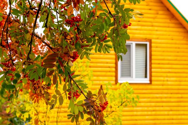 Cost of Garden Window Replacement in Chagrin Falls